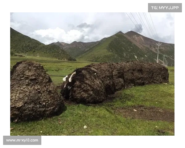贝林厄姆:从英伦到伊比利亚的适应与挑战